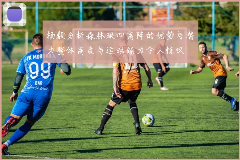 杨毅分析森林狼四高阵的优势与潜力整体高度与运动能力令人惊叹